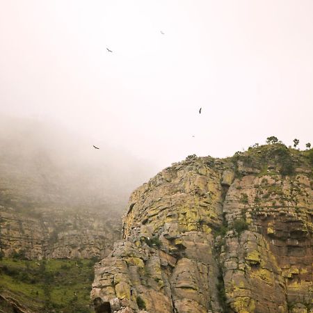 侯斯普瑞特Cape Vulture Conservancy别墅 外观 照片