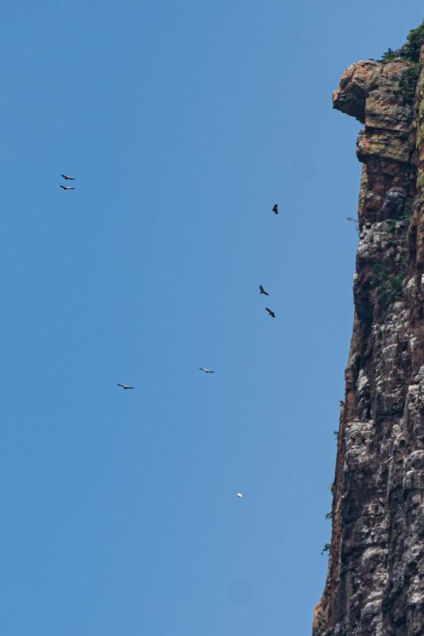Cape Vulture Lodge 侯斯普瑞特 外观 照片