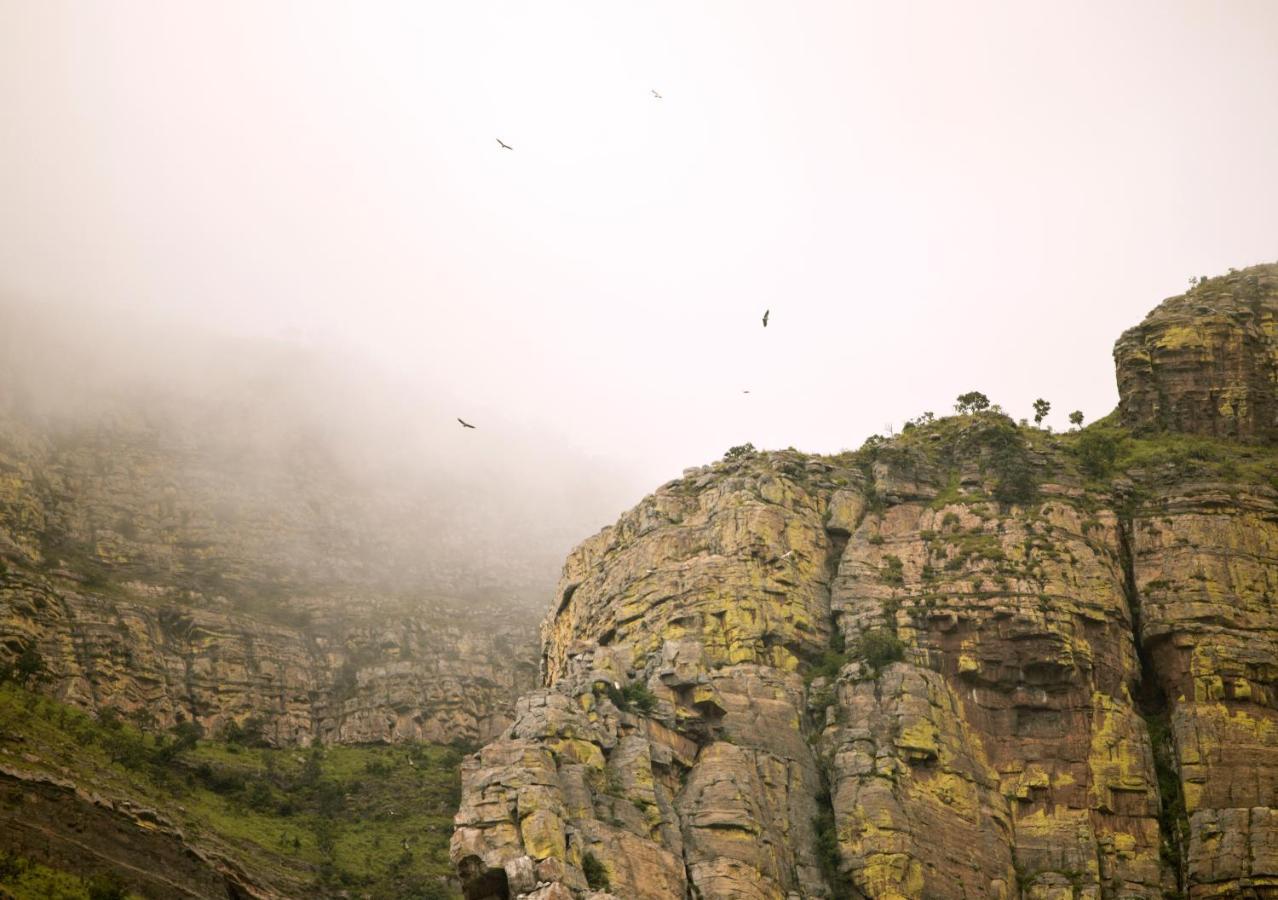 侯斯普瑞特Cape Vulture Conservancy别墅 外观 照片